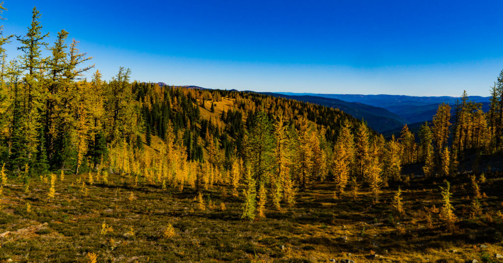 Best Hikes in Manning Provincial Park - Best Hikes BC