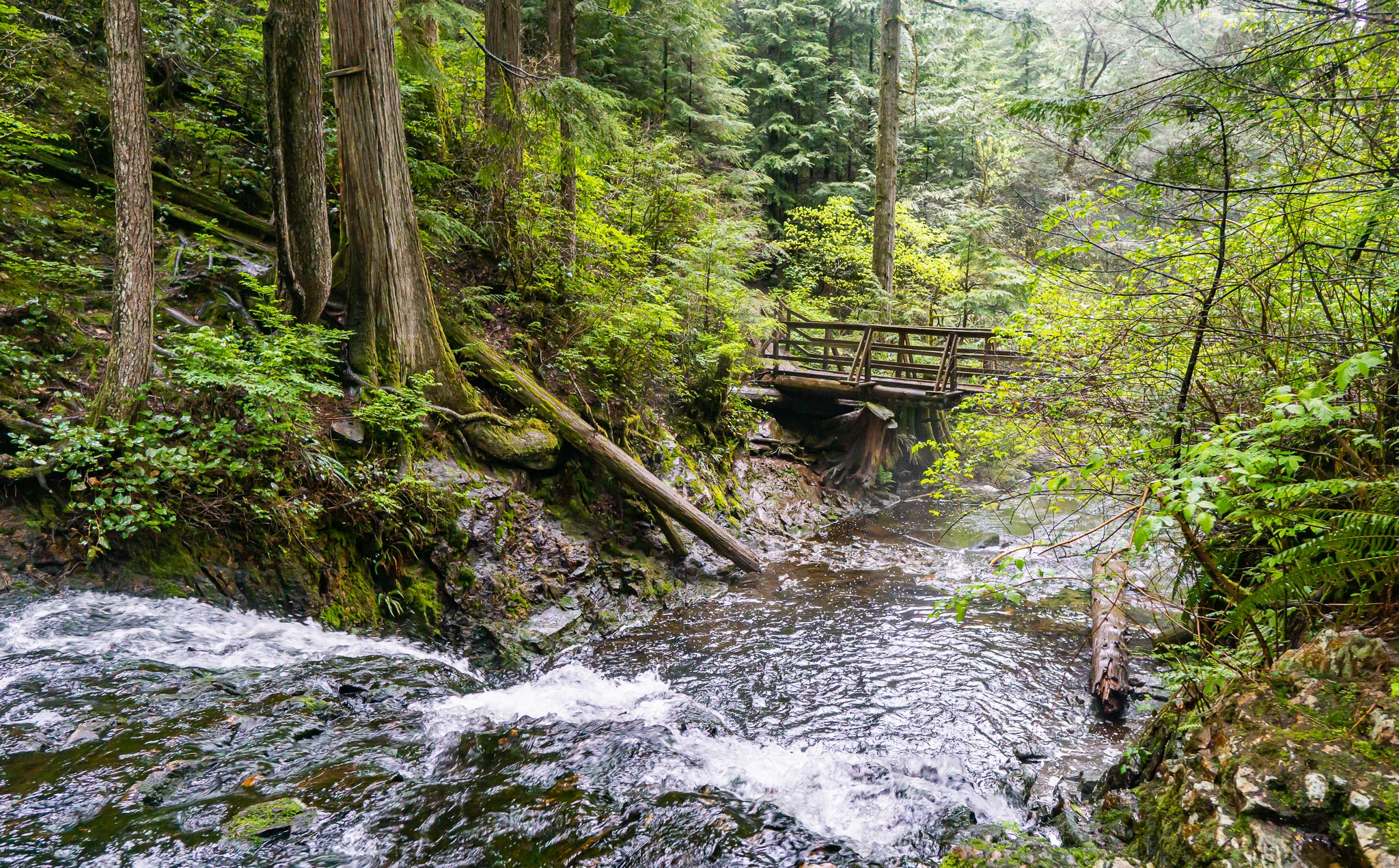 Hiking Rolley Lake & Rolley Falls in Mission - Best Hikes BC