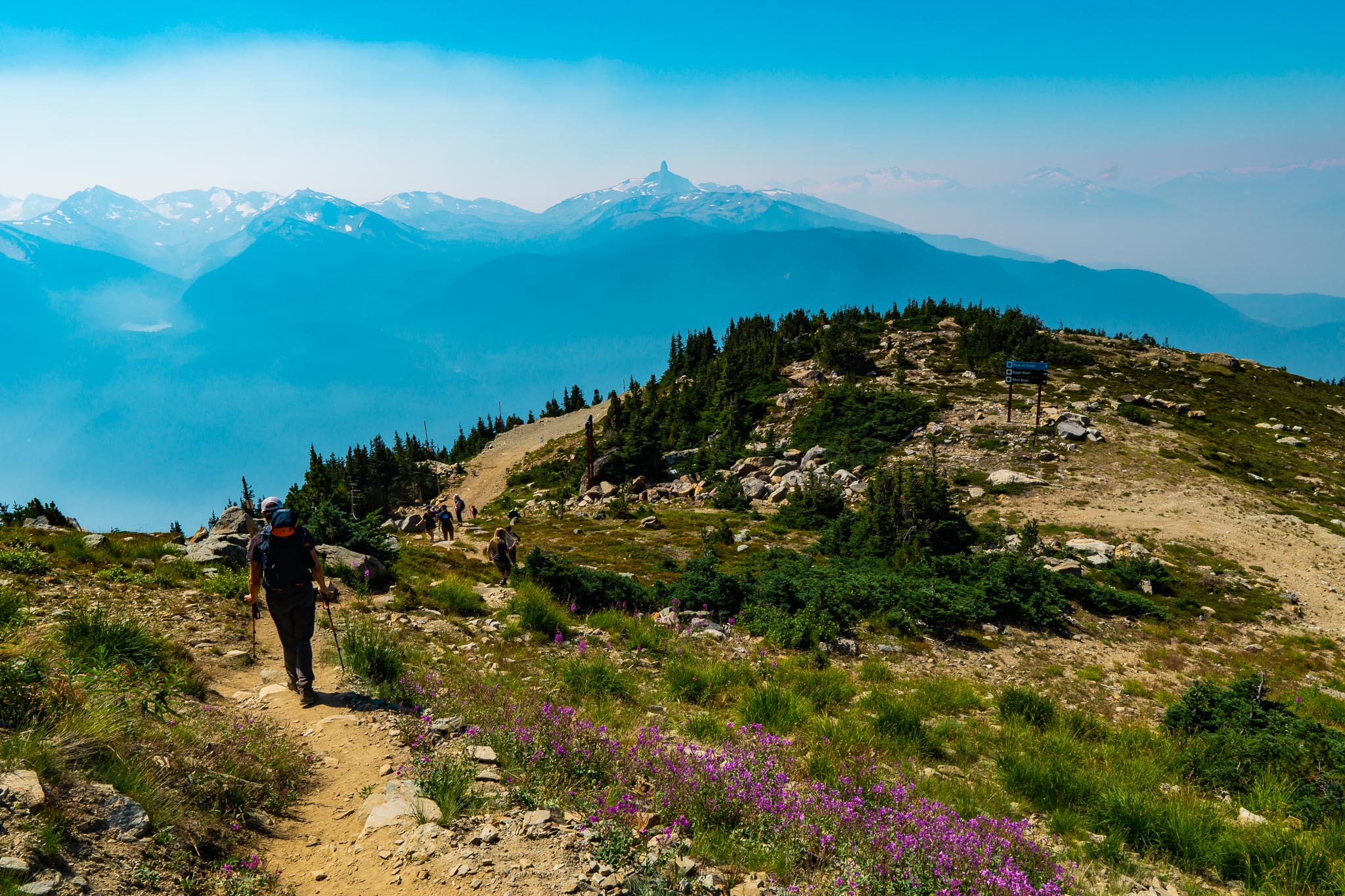 Hiking Overlord Mountain in Garibaldi Provincial Park - Best Hikes BC