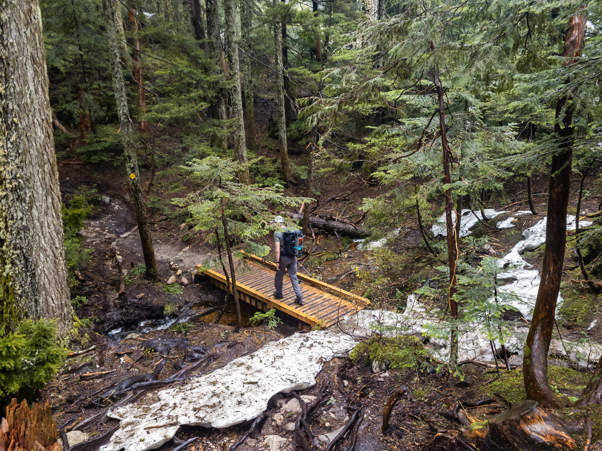 Hiking the BCMC Trail in North Vancouver - Best Hikes BC